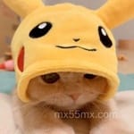 Avatar de Simón Granada